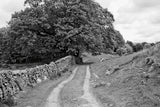 Wynlass Beck by Laura Marshall. SKU 64396i. Archival Giclee Fine art print for wall decor.