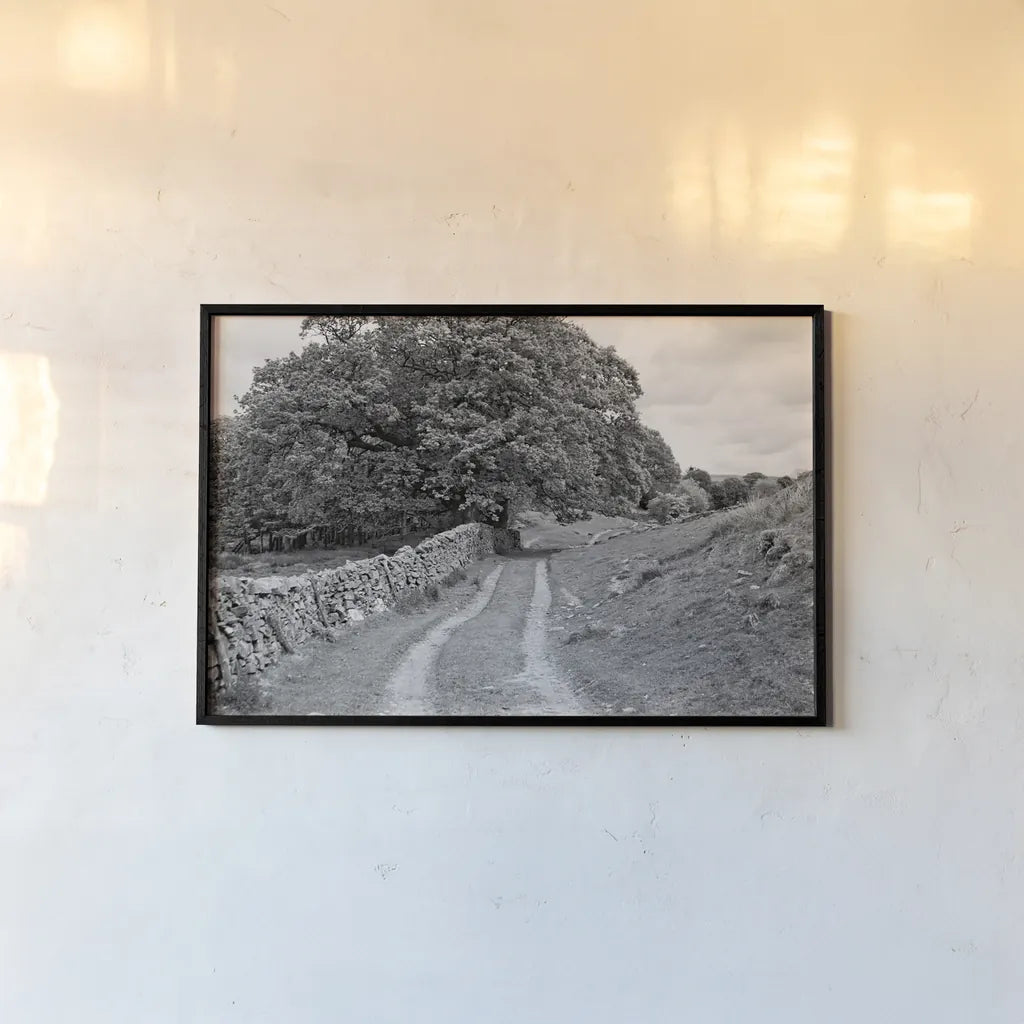 Wynlass Beck by Laura Marshall. shown as a paper print in a black flame. Available as a archival giclee rolled canvas, fine art paper, or poster print. SKU 64396i.