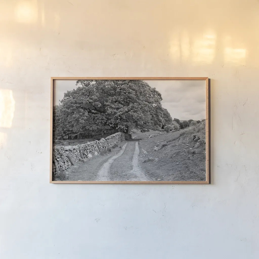 Wynlass Beck by Laura Marshall. shown as a paper print in a natural frame. Available as a archival giclee rolled canvas, fine art paper, or poster print. SKU 64396i.