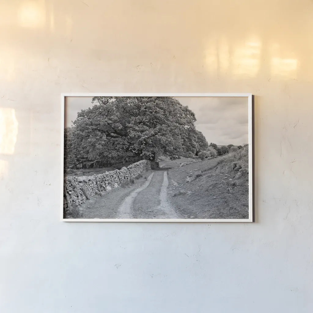 Wynlass Beck by Laura Marshall. shown as a paper print in a white frame. Available as a archival giclee rolled canvas, fine art paper, or poster print. SKU 64396i.