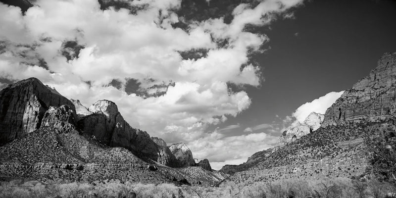 Zion Canyon II by Laura Marshall