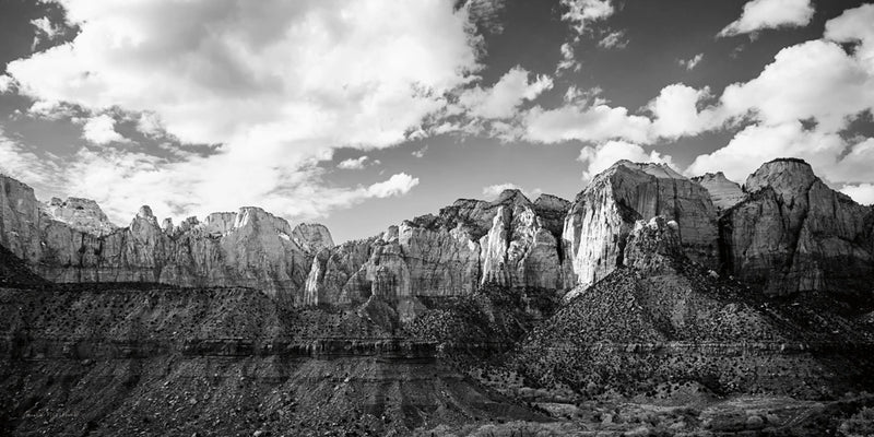 Zion Canyon III by Laura Marshall