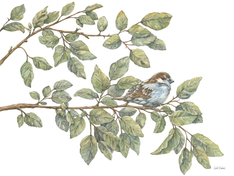 Bird on Branch I by Leslie Trimbach