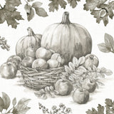 Bountiful Harvest IV Sketch by Leslie Trimbach. SKU 91344a. Archival Giclee Fine art print for wall decor.