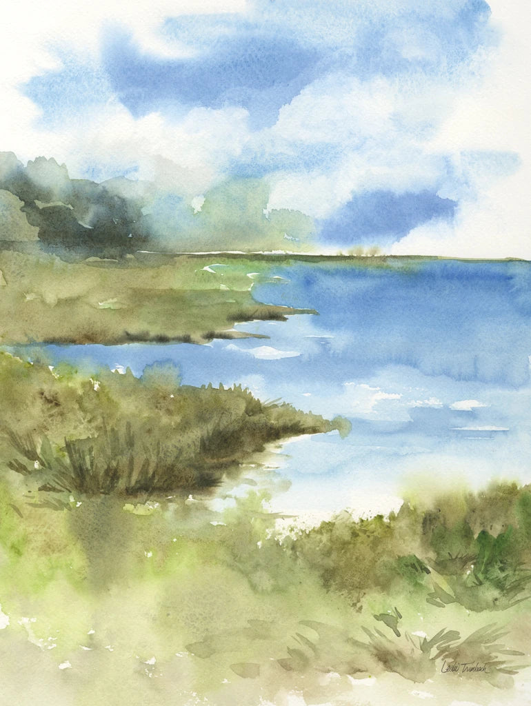 Cape Cod Cove by Leslie Trimbach
