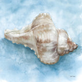 Coastal Calm I by Leslie Trimbach. SKU 102012a. Archival Giclee Fine art print for wall decor.