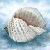 Coastal Calm III by Leslie Trimbach. SKU 102014a. Archival Giclee Fine art print for wall decor.