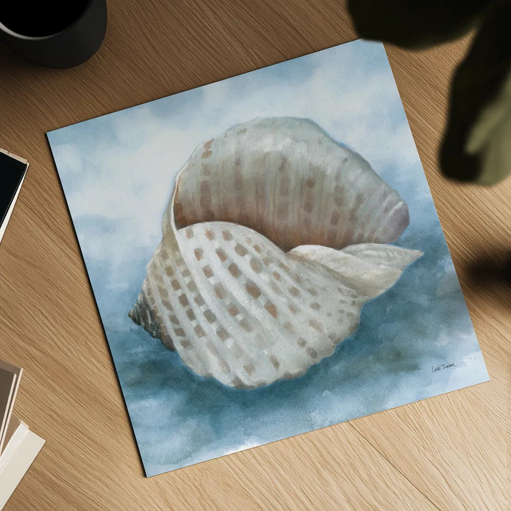 Coastal Calm III by Leslie Trimbach. Shown as a detailed flat fine art print, highlighting archival giclee quality. Available as an archival giclee rolled canvas, fine art paper, or poster print. SKU 102014a.