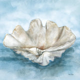 Coastal Calm IV by Leslie Trimbach. SKU 102015a. Archival Giclee Fine art print for wall decor.