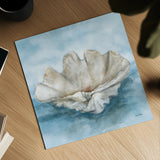 Coastal Calm IV by Leslie Trimbach. Shown as a detailed flat fine art print, highlighting archival giclee quality. Available as an archival giclee rolled canvas, fine art paper, or poster print. SKU 102015a.