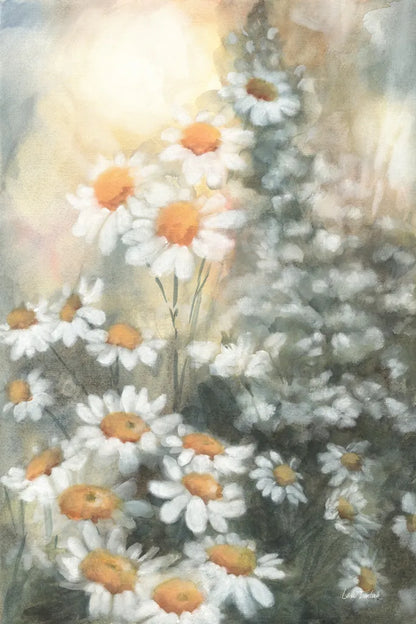 Daisy Dreams by Leslie Trimbach. SKU 92798h. Archival Giclee Fine art print for wall decor.
