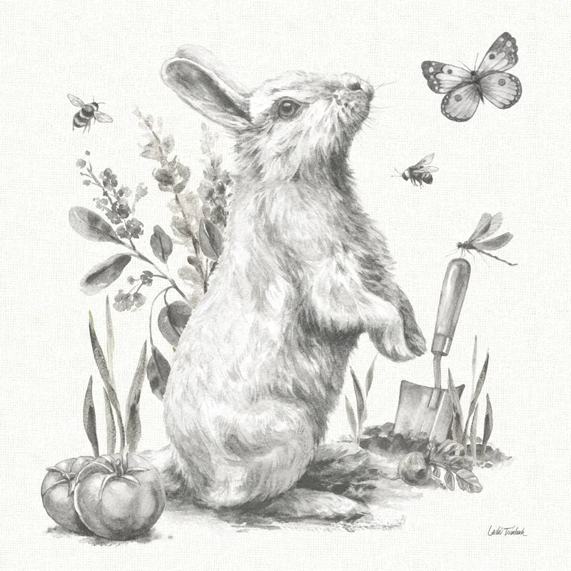 Garden Patch I Sketch by Leslie Trimbach. SKU 90670a. Archival Giclee Fine art print for wall decor.