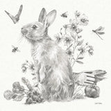Garden Patch II Sketch by Leslie Trimbach. SKU 90671a. Archival Giclee Fine art print for wall decor.