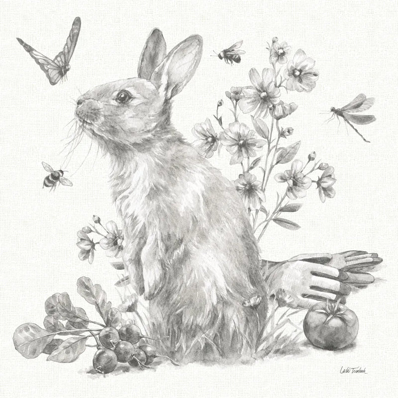 Garden Patch II Sketch by Leslie Trimbach. SKU 90671a. Archival Giclee Fine art print for wall decor.