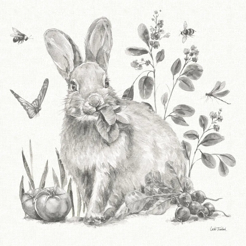 Garden Patch IV Sketch by Leslie Trimbach. SKU 90673a. Archival Giclee Fine art print for wall decor.