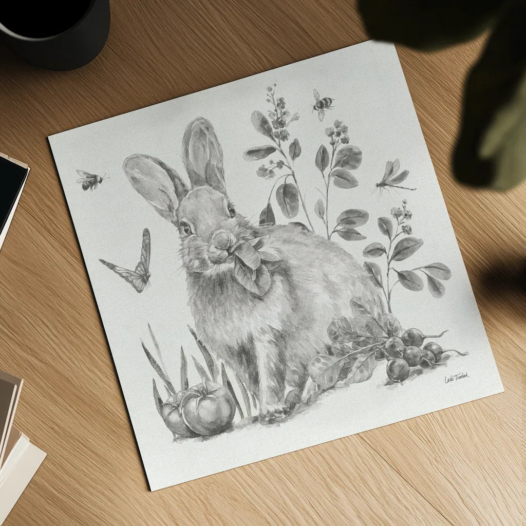 Garden Patch IV Sketch by Leslie Trimbach. Shown as a detailed flat fine art print, highlighting archival giclee quality. Available as an archival giclee rolled canvas, fine art paper, or poster print. SKU 90673a.