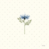 Gentle Bloom I by Leslie Trimbach. SKU 98931a. Archival Giclee Fine art print for wall decor.