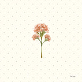 Gentle Bloom II by Leslie Trimbach. SKU 98932a. Archival Giclee Fine art print for wall decor.