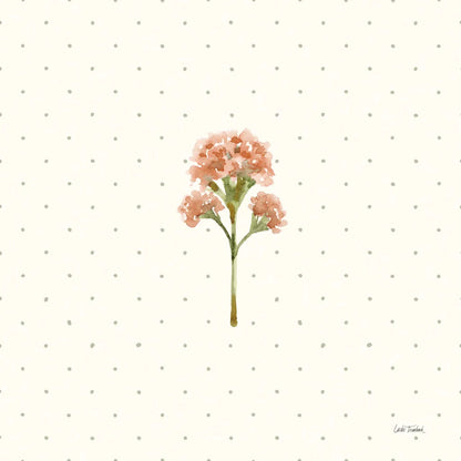 Gentle Bloom II by Leslie Trimbach. SKU 98932a. Archival Giclee Fine art print for wall decor.