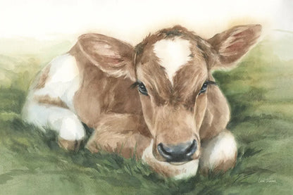 Gentle Calf by Leslie Trimbach. SKU 87356i. Archival Giclee Fine art print for wall decor.