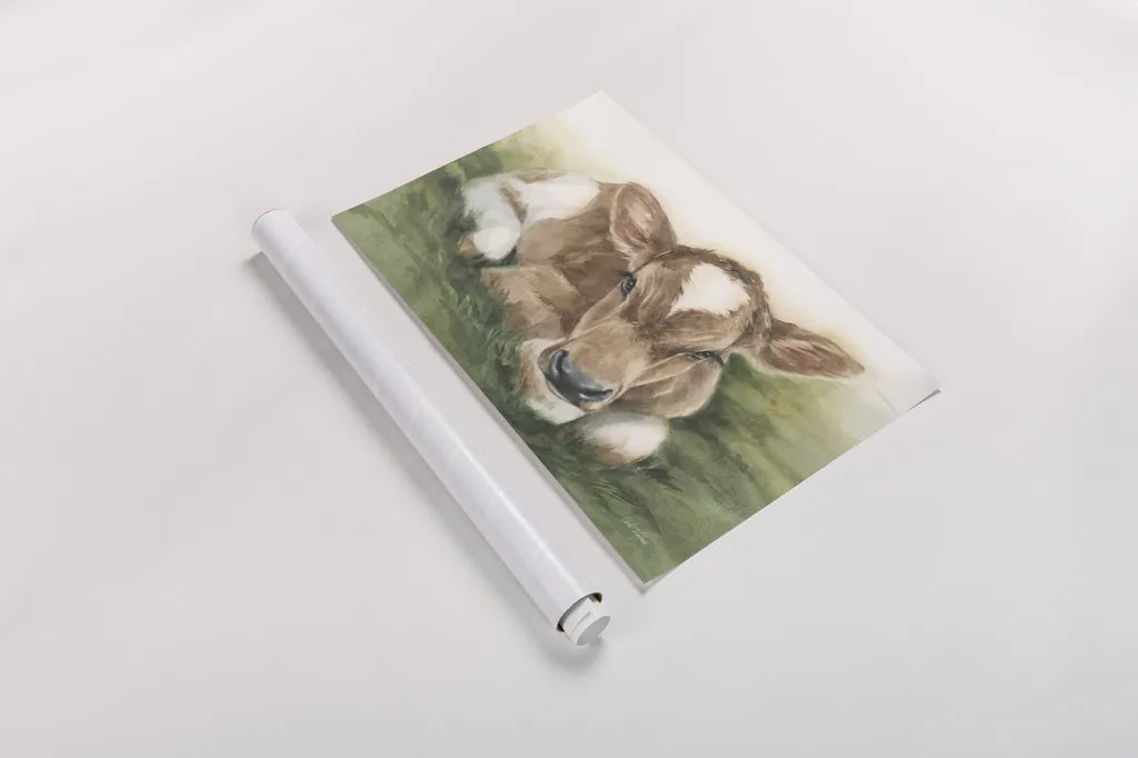 Gentle Calf by Leslie Trimbach. shown as a rolled paper print. Available as archival giclee rolled canvas, fine art paper, or poster print. SKU 87356i.