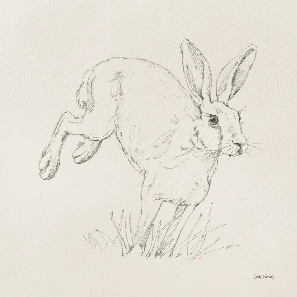 Graceful Rabbit I by Leslie Trimbach. SKU 85186a. Archival Giclee Fine art print for wall decor.