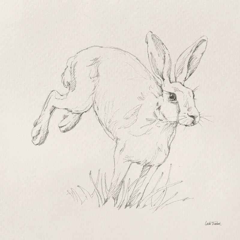 Graceful Rabbit I by Leslie Trimbach. SKU 85186a. Archival Giclee Fine art print for wall decor.