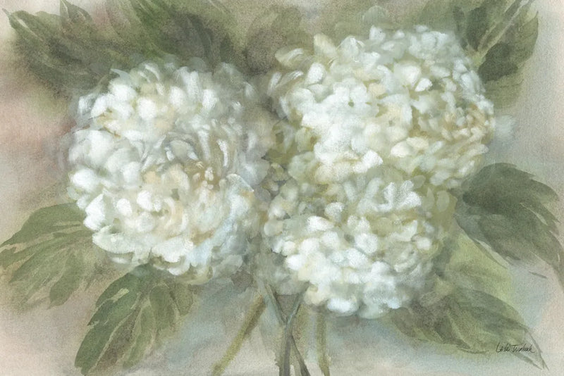 Hydrangea Bouquet by Leslie Trimbach. SKU 91171i. Archival Giclee Fine art print for wall decor.