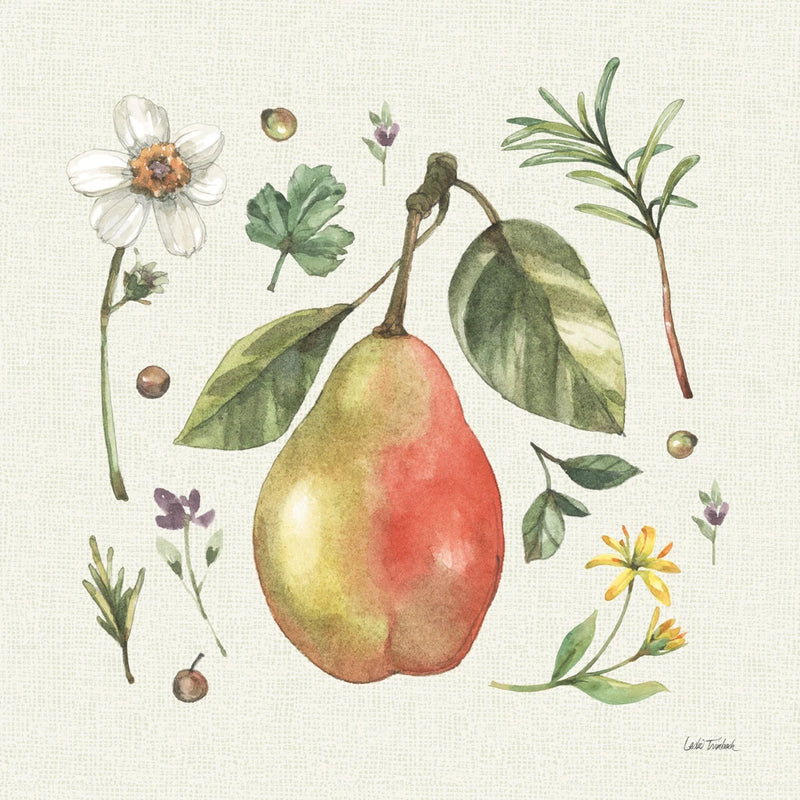 Illustrated Garden IV by Leslie Trimbach