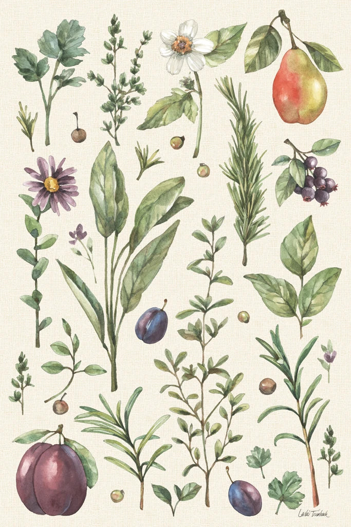 Illustrated Garden V by Leslie Trimbach