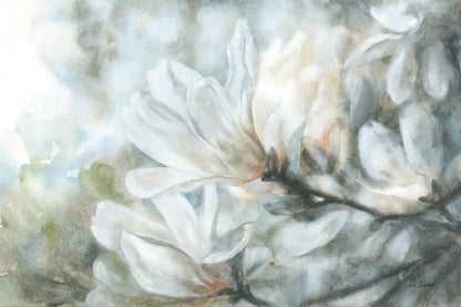 Magnolia by Leslie Trimbach. SKU 91246i. Archival Giclee Fine art print for wall decor.