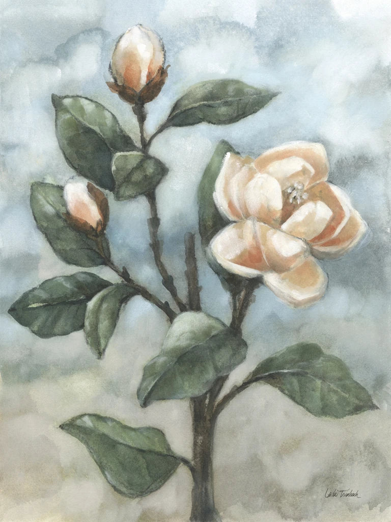 Magnolia Branch by Leslie Trimbach