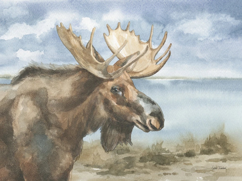 Moose by Lake by Leslie Trimbach