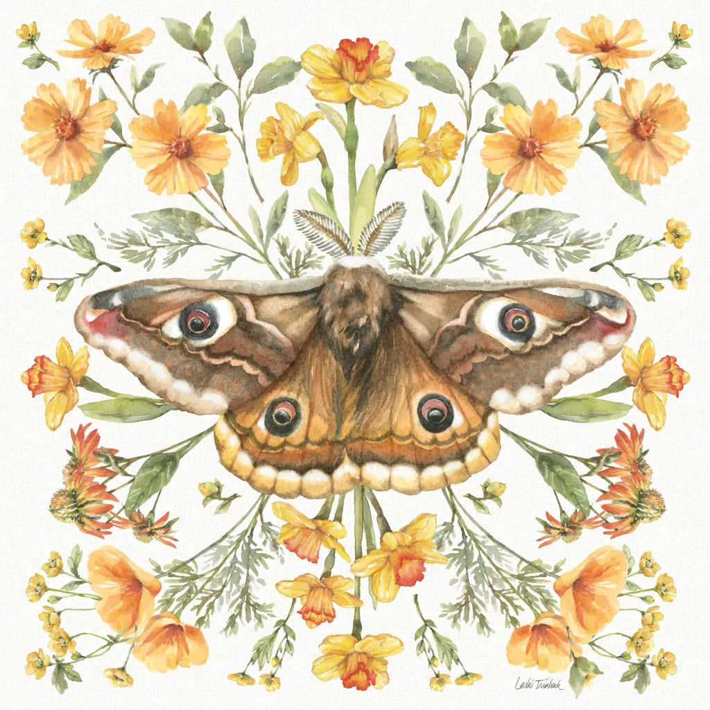 Moth Art I by Leslie Trimbach. SKU 101189a. Archival Giclee Fine art print for wall decor.