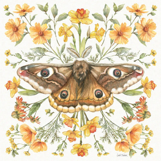 Moth Art I by Leslie Trimbach. SKU 101189a. Archival Giclee Fine art print for wall decor.