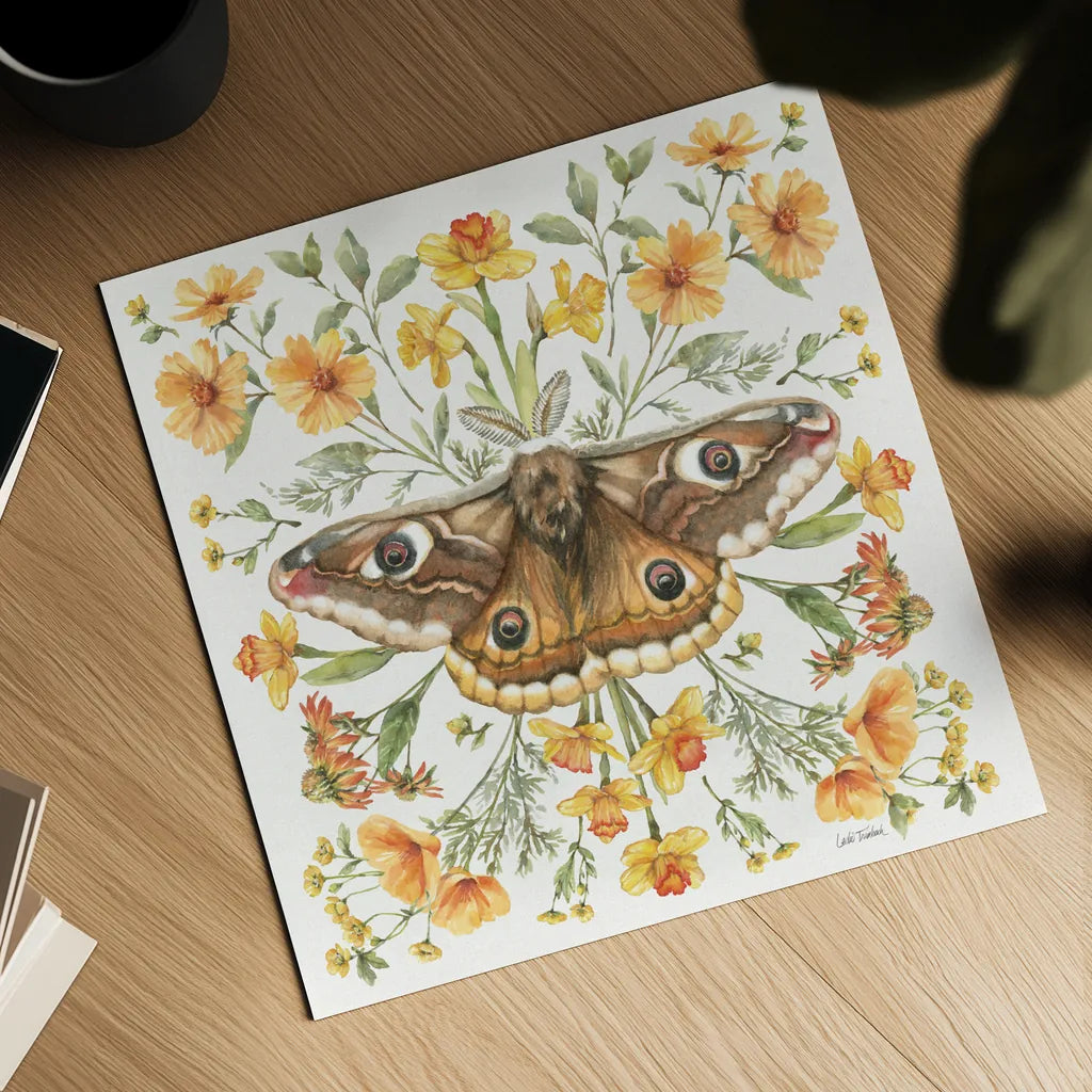 Moth Art I by Leslie Trimbach. Shown as a detailed flat fine art print, highlighting archival giclee quality. Available as an archival giclee rolled canvas, fine art paper, or poster print. SKU 101189a.