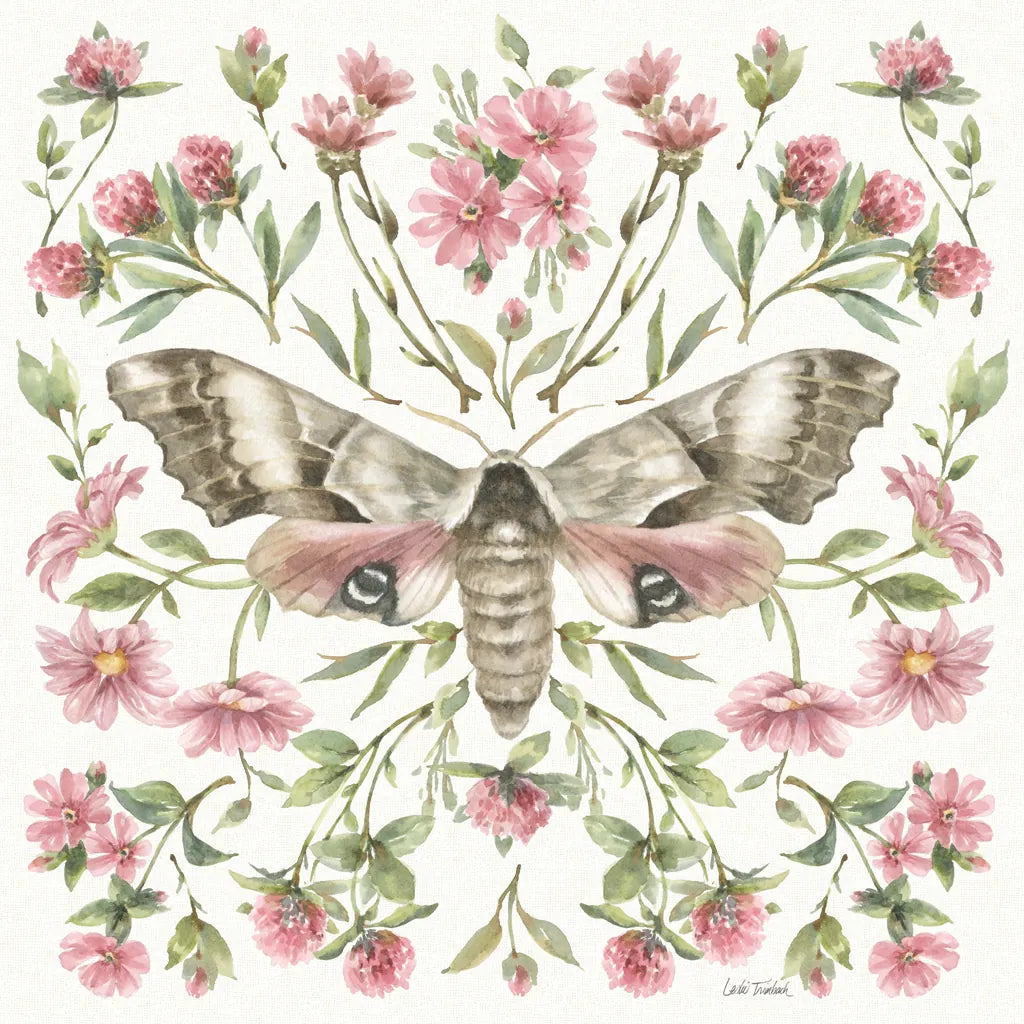 Moth Art II by Leslie Trimbach. SKU 101190a. Archival Giclee Fine art print for wall decor.