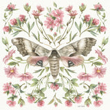 Moth Art II by Leslie Trimbach. SKU 101190a. Archival Giclee Fine art print for wall decor.