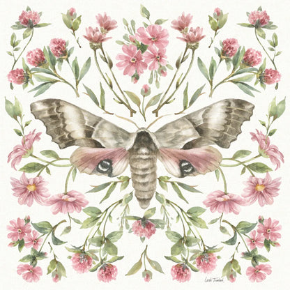 Moth Art II by Leslie Trimbach. SKU 101190a. Archival Giclee Fine art print for wall decor.