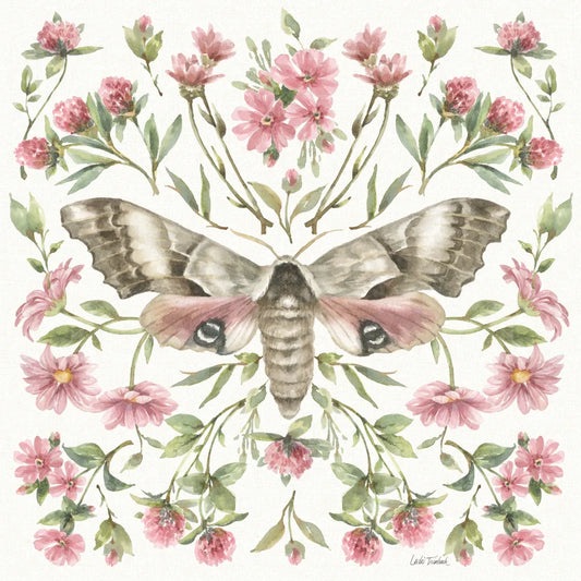 Moth Art II by Leslie Trimbach. SKU 101190a. Archival Giclee Fine art print for wall decor.