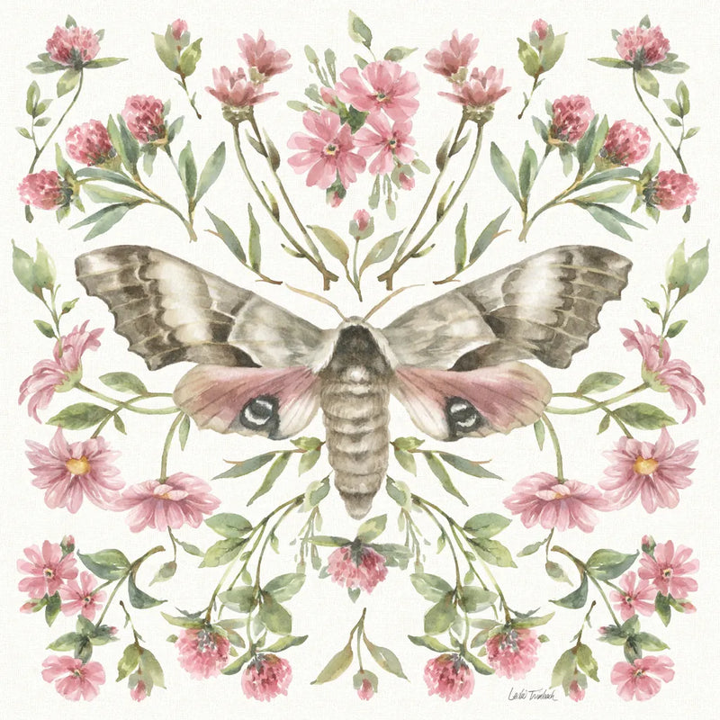 Moth Art II by Leslie Trimbach. SKU 101190a. Archival Giclee Fine art print for wall decor.