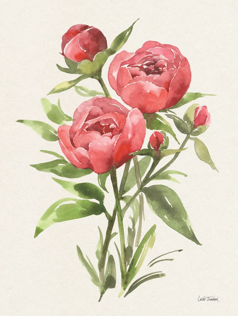 Peony II by Leslie Trimbach