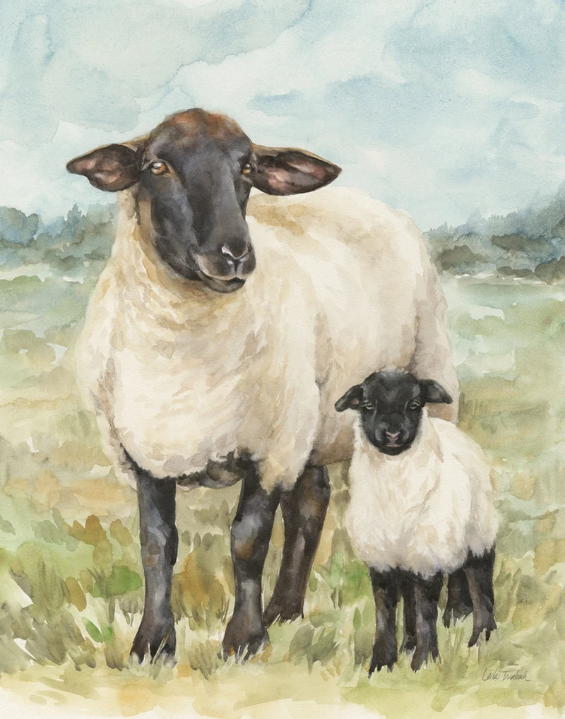 Sheep in a Field by Leslie Trimbach