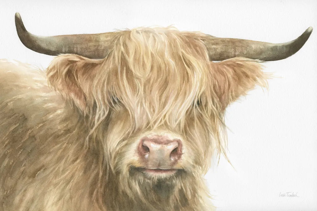 Shetland Cow by Leslie Trimbach. SKU 84629i. Archival Giclee Fine art print for wall decor.