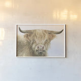 Shetland Cow by Leslie Trimbach. shown as a paper print in a white frame. Available as a archival giclee rolled canvas, fine art paper, or poster print. SKU 84629i.