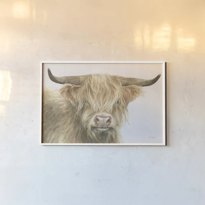 Shetland Cow by Leslie Trimbach. shown as a paper print in a white frame. Available as a archival giclee rolled canvas, fine art paper, or poster print. SKU 84629i.