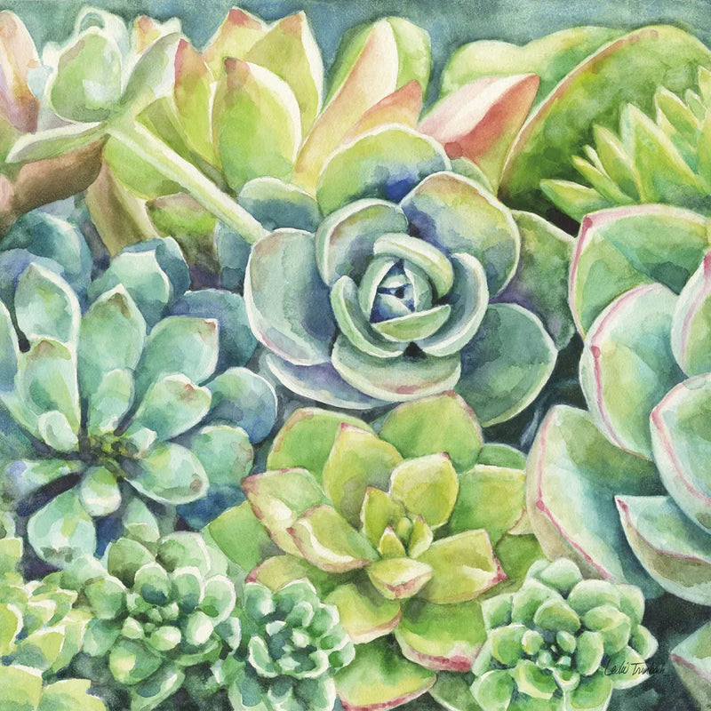 Succulents by Leslie Trimbach. SKU 83195a. Archival Giclee Fine art print for wall decor.