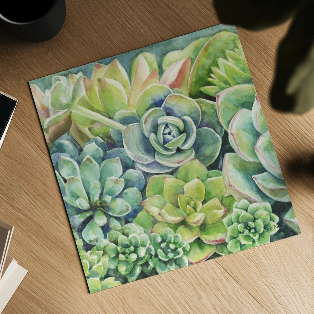 Succulents by Leslie Trimbach. Shown as a detailed flat fine art print, highlighting archival giclee quality. Available as an archival giclee rolled canvas, fine art paper, or poster print. SKU 83195a.