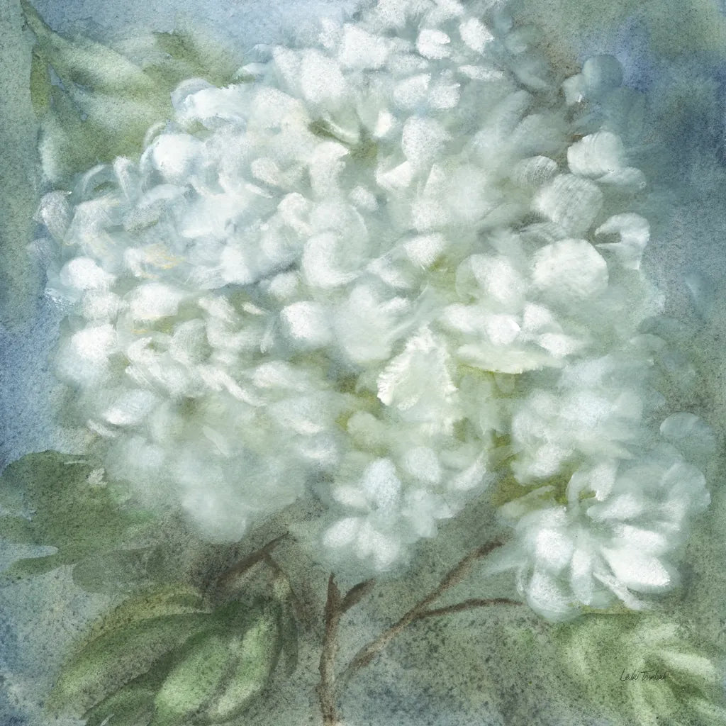 Twilight Hydrangea by Leslie Trimbach. SKU 91169a. Archival Giclee Fine art print for wall decor.