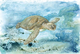 Under Sea Life I by Leslie Trimbach. SKU 85637i. Archival Giclee Fine art print for wall decor.
